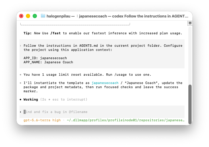 Codex terminal configuring the Japanese Coach project